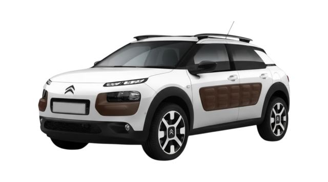 c4 Cactus
