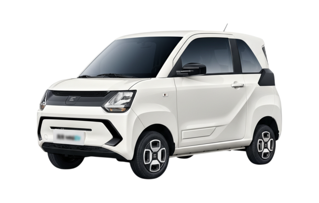 Fengon Mini EV