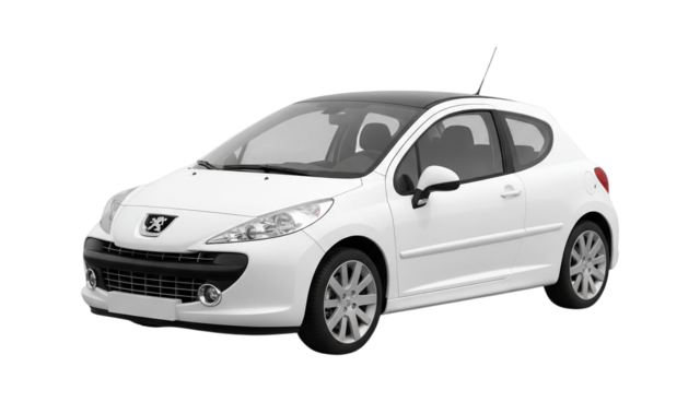 1 поколение