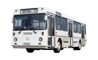 1 поколение