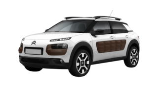c4 Cactus