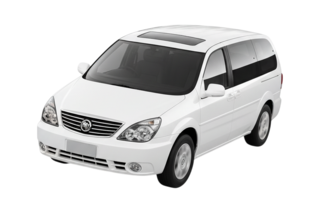 1 поколение