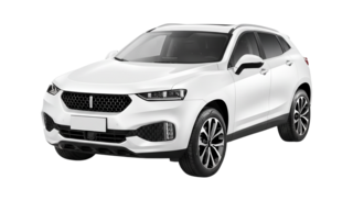 1 поколение